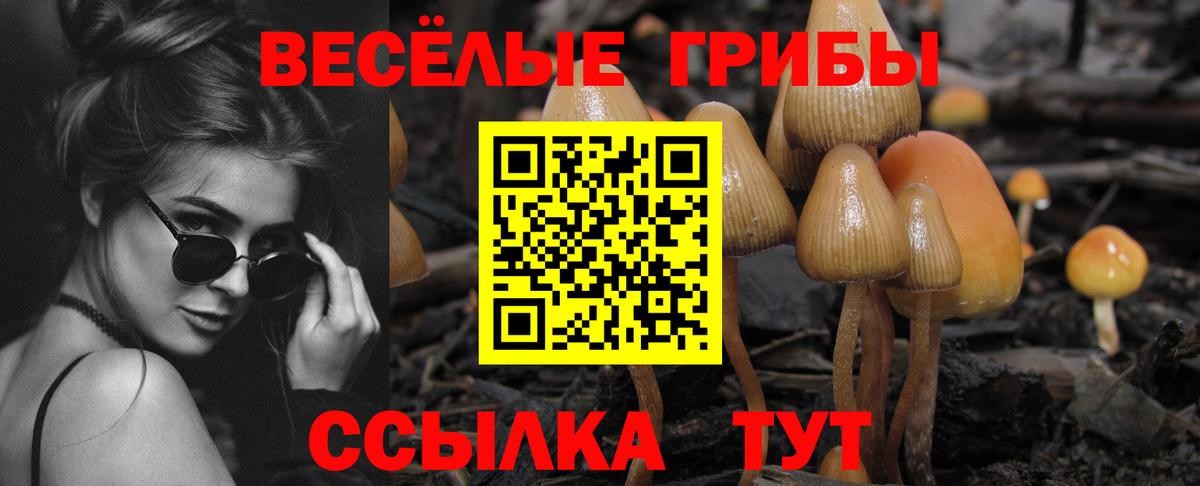 Псилоцибиновые грибы GOLDEN TEACHER Минусинск